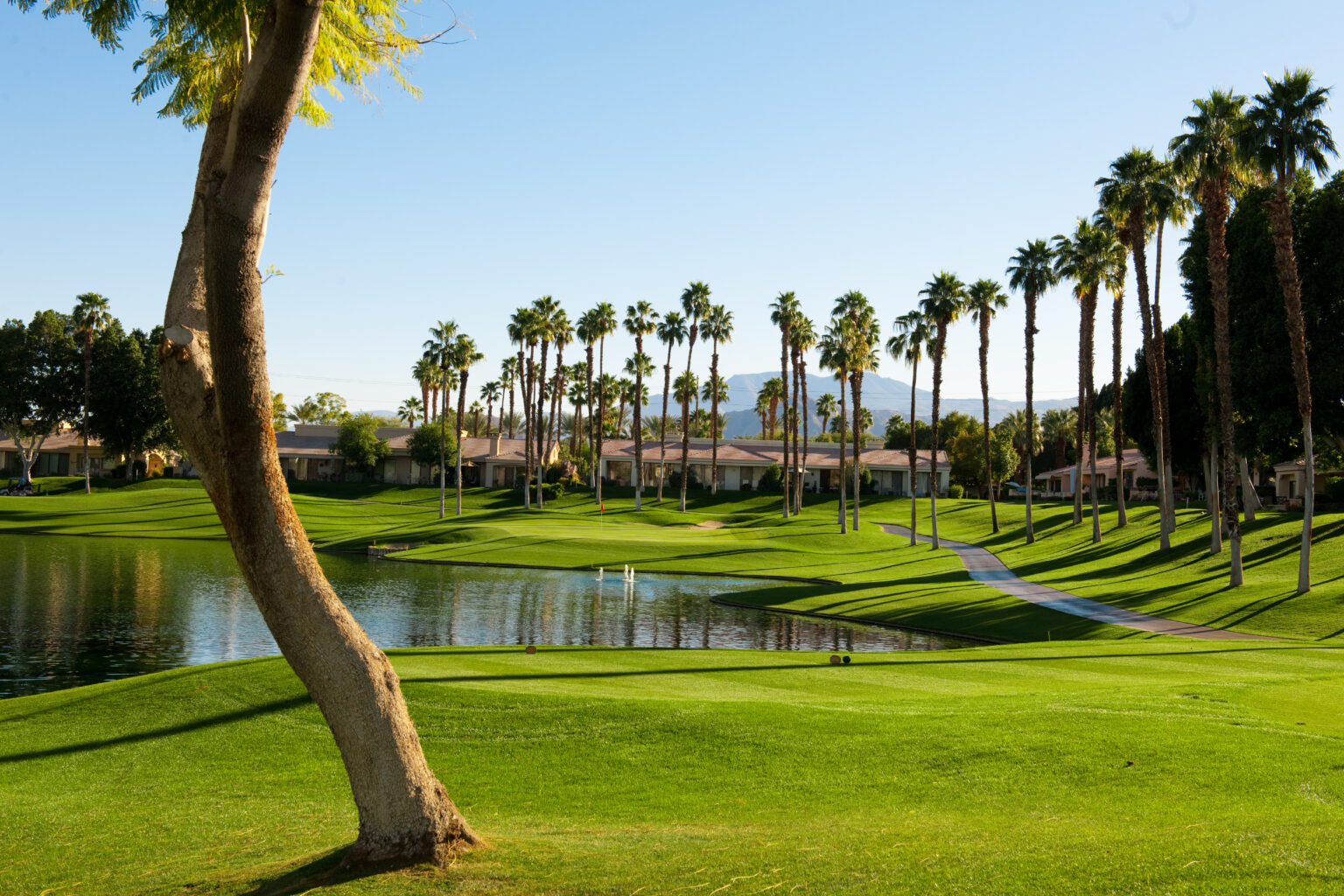 Golf - Palm Valley Country Club | Palm Valley Country Club