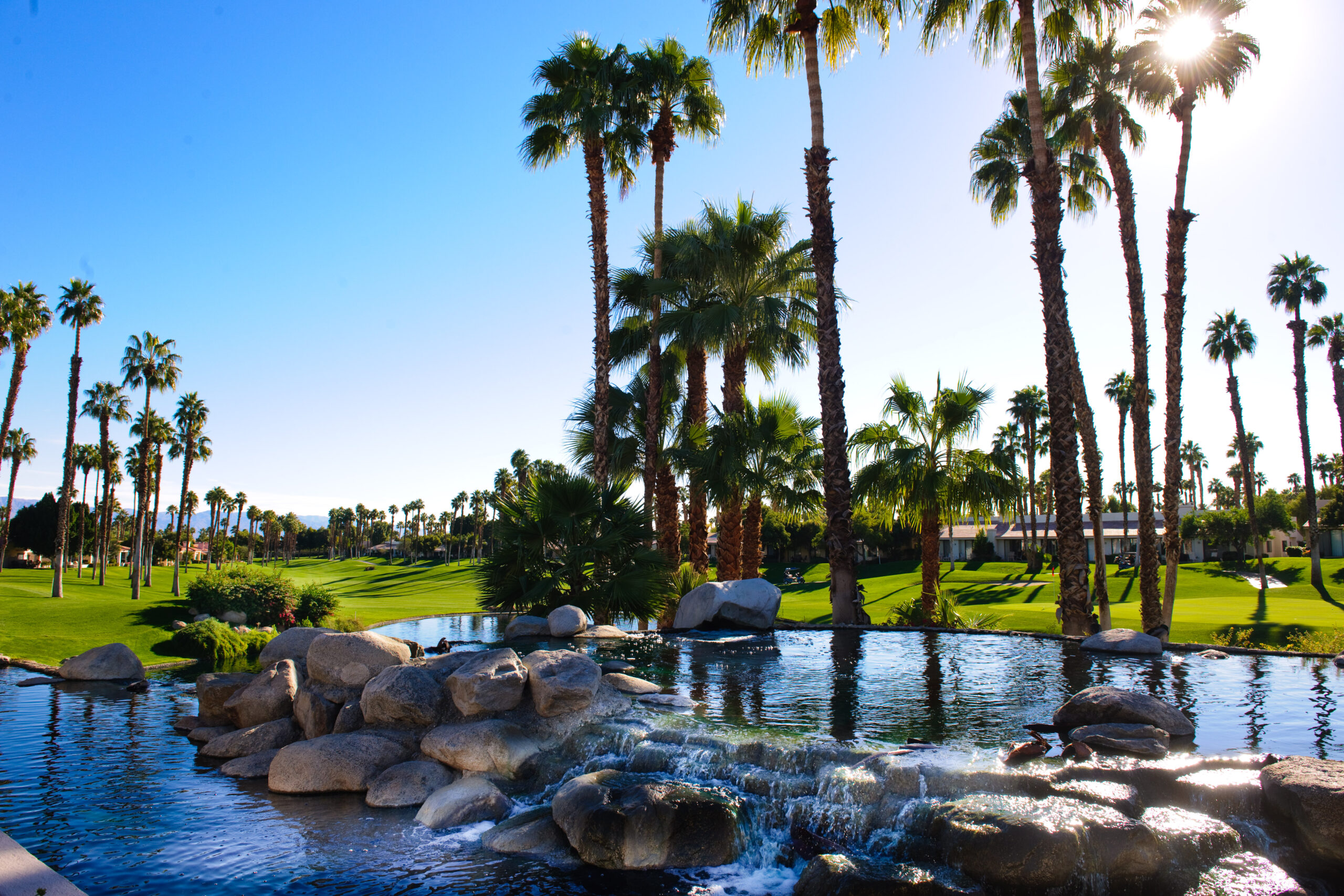 Golf - Palm Valley Country Club | Palm Valley Country Club